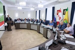 Работу Многофункциональных центров обсудили в областном правительстве