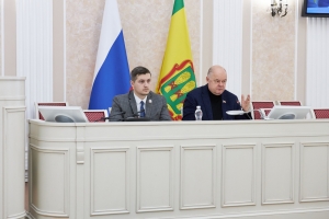Заседание Молодежного парламента при Законодательном Собрании Пензенской области
