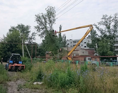 Организована опиловка аварийного дерева на территории детского сада 